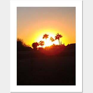 Palm trees silhouettes Posters and Art